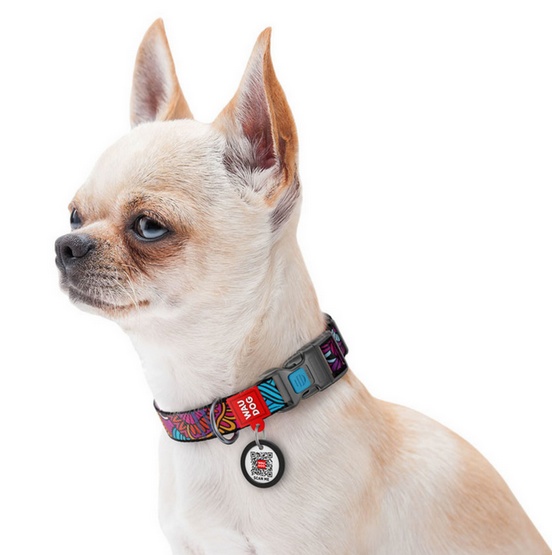 Collar WauDog Nylon Obroża nylonowa z QR-paszportem, plastikowy fastex, wzór LATO, 25mm/37-58cm - obrazek 3