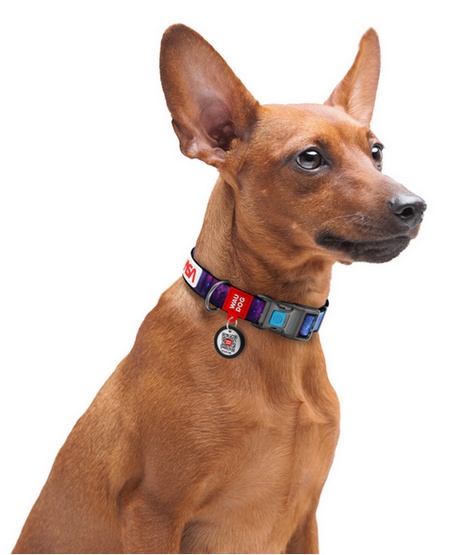Collar WauDog Nylon Obroża nylonowa z QR-paszportem, plastikowy fastex, wzór NASA, 15mm/25-35cm - obrazek 4