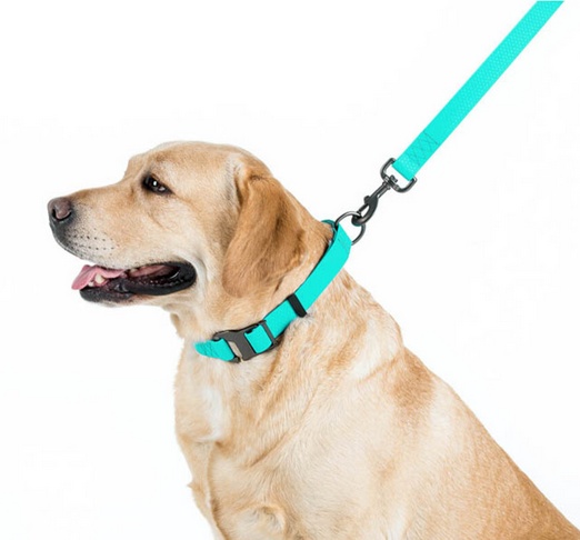 Collar WauDog Waterproof Smycz wodoodporna akumulująca światło M 20mm/183cm - obrazek 5