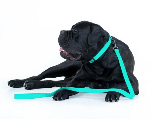 Collar WauDog Waterproof Smycz wodoodporna akumulująca światło M 20mm/183cm - obrazek 6