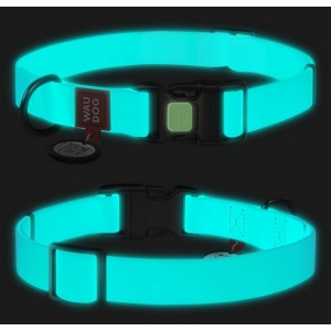 Collar WauDog Waterproof Obroża wodoodporna z QR-paszportem, akumulująca światło, plastikowy fastex, 25mm/34-49cm