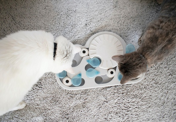 Nina Ottosson Cat Rainy Day Puzzle & Play - gra edukacyjna dla kotów - obrazek 5