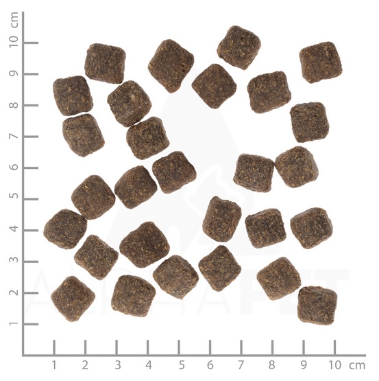 Wolfsblut Dog Dark Forest Small - dziczyzna i bataty 2kg - obrazek 3