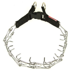 Champion Kolczatka [3T]