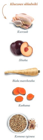 Amanova Dog Adult Medium Exquisite Chicken - kurczak 12kg - obrazek 4