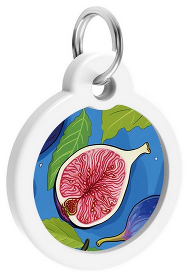 Collar WauDog Smart ID Zawieszka z QR-paszportem okrągła 3cm figa - obrazek 4