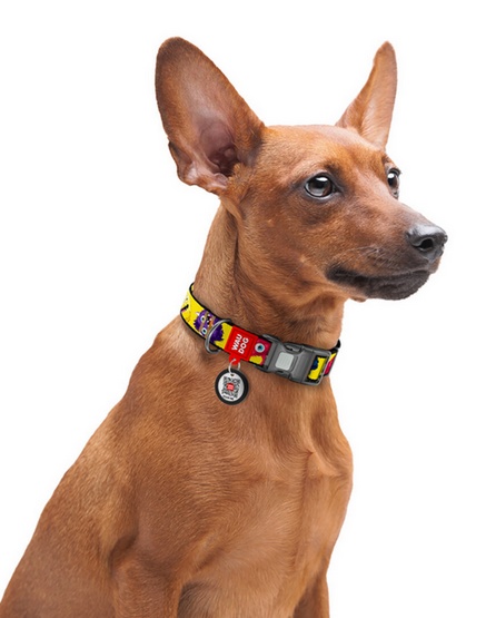 Collar WauDog Nylon Obroża nylonowa z QR-paszportem, plastikowy fastex, wzór FUTRZANE POTWORY, M 20mm/28-40cm - obrazek 4