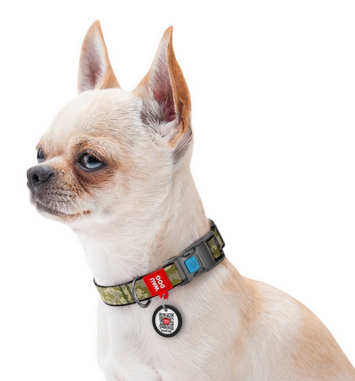 Collar WauDog Nylon Obroża nylonowa z QR-paszportem, plastikowy fastex, wzór MILITARY, M 20mm/28-40cm - obrazek 3