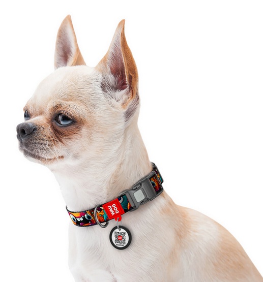 Collar WauDog Nylon Obroża nylonowa z QR-paszportem, plastikowy fastex, wzór ZĘBATE POTWORY, L 25mm/33-49cm - obrazek 3