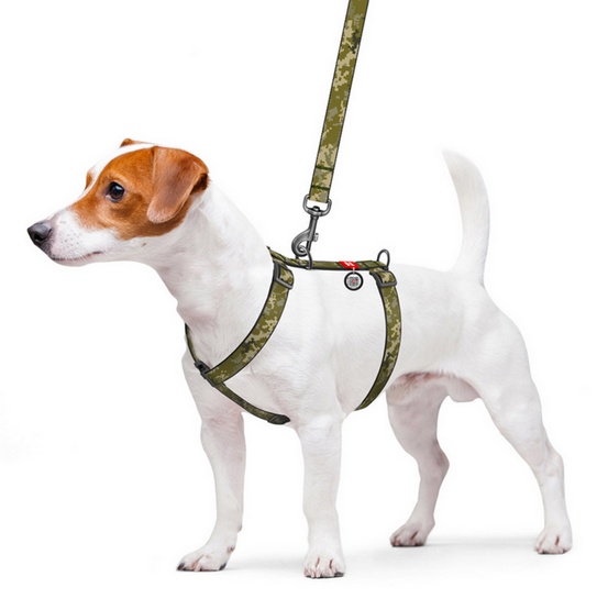 Collar WauDog Nylon Szelki nylonowe anatomiczne w kształcie litery H, z QR-paszportem, plastikowy fastex, wzór MILITARY, rozmiar S 15mm - obrazek 3