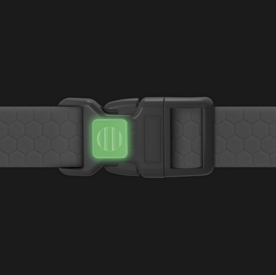 Collar Waterproof Obroża wodoodporna z QR-paszportem, plastikowy fastex, S 15mm/25-35cm różowa - obrazek 3