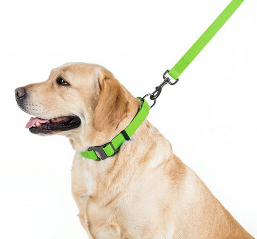 Collar Waterproof Smycz wodoodporna L-XXL 25mm/183cm jasnozielona - obrazek 3