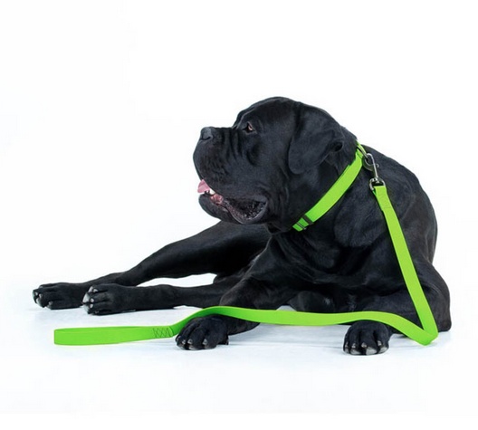 Collar Waterproof Smycz wodoodporna L-XXL 25mm/183cm jasnozielona - obrazek 4