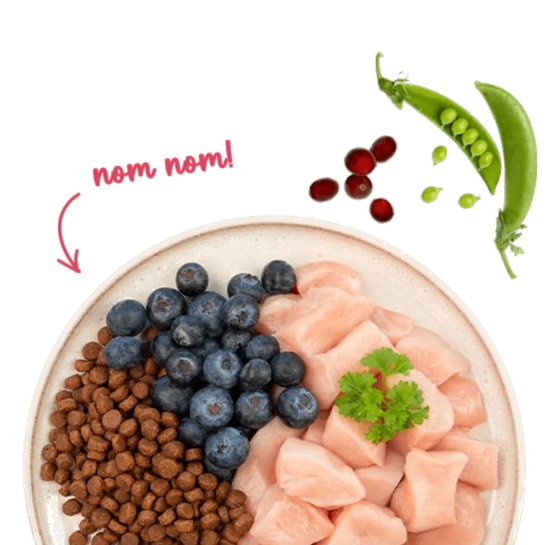 Sanabelle Adult Huhn z kurczakiem 400g - obrazek 2