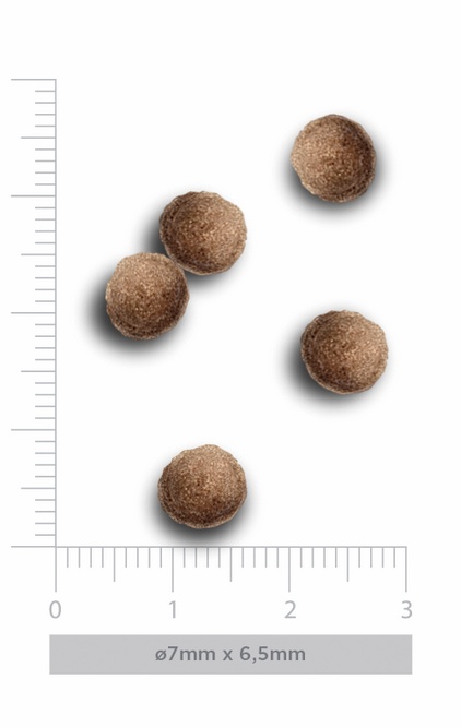 Amanova Dog Puppy Mini Exquisite Chicken - kurczak 500g - obrazek 5