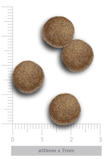 Amanova Dog Puppy Medium Exquisite Chicken - kurczak 12kg - obrazek 5