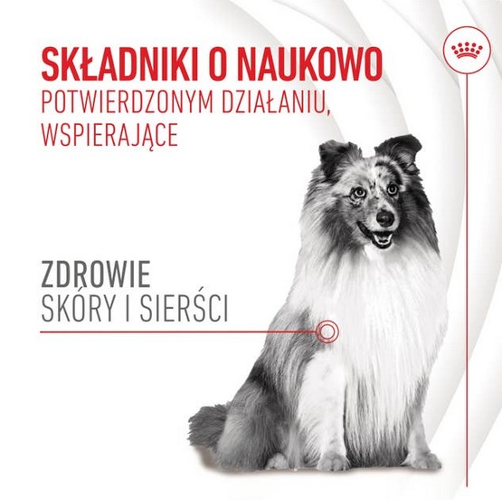 Royal Canin Skin & Coat Chews Adult Supplements 240g - obrazek 2