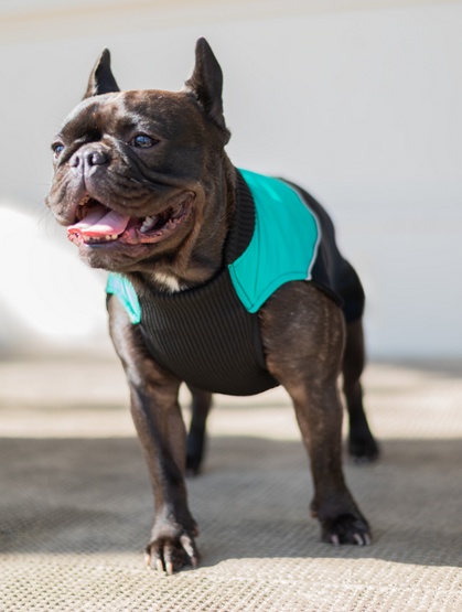 Chaba Ubranko regulowane Wear Magnifique S zielone - obrazek 4