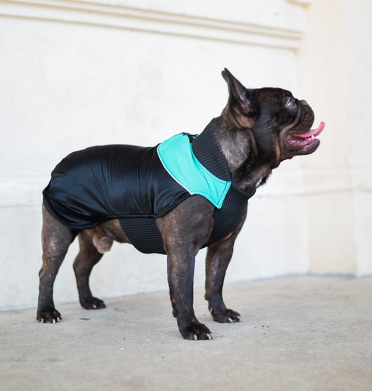 Chaba Ubranko regulowane Wear Magnifique XL zielone - obrazek 5