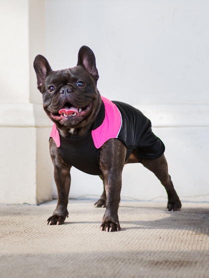 Chaba Ubranko regulowane Wear Magnifique 2XL różowe - obrazek 4