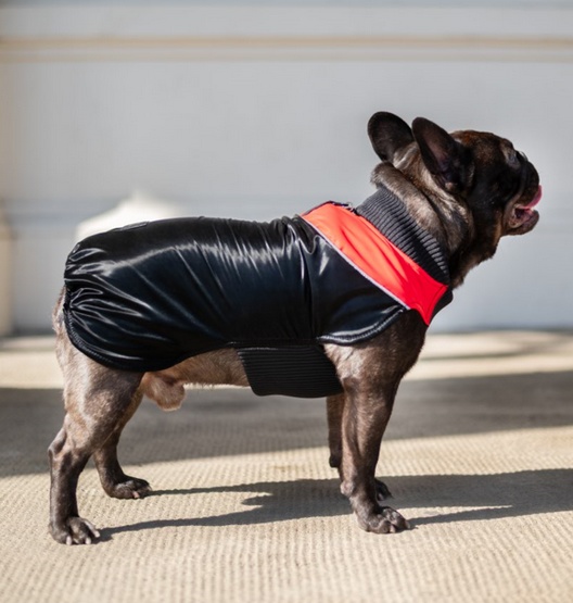 Chaba Ubranko regulowane Wear Magnifique 2XL czerwone - obrazek 5