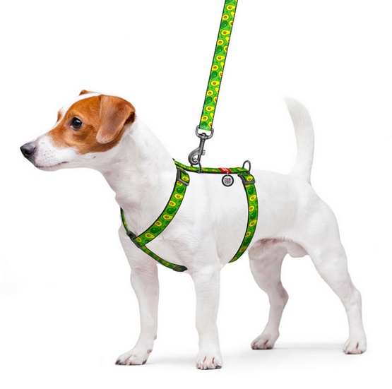 Collar WauDog Nylon Szelki nylonowe anatomiczne w kształcie litery H, z QR-paszportem, plastikowy fastex, wzór AWOKADO, rozmiar M 20mm - obrazek 3