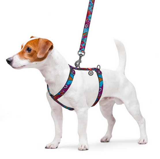 Collar WauDog Nylon Szelki nylonowe anatomiczne w kształcie litery H, z QR-paszportem, plastikowy fastex, wzór LATO, rozmiar L 25mm - obrazek 3