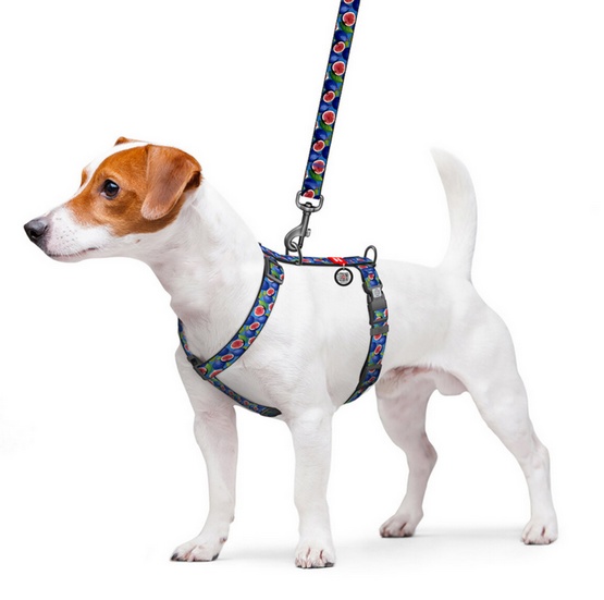 Collar WauDog Nylon Szelki nylonowe anatomiczne w kształcie litery H, z QR-paszportem, plastikowy fastex, wzór FIGA, rozmiar M 20mm - obrazek 3