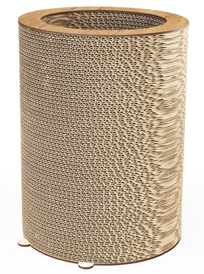 Gattino Drapak 12 Mia dąb lancelot - obrazek 4