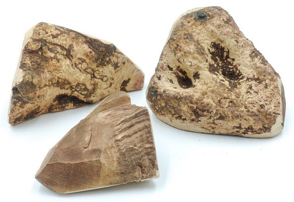 4DOGS Gryzak z korzenia drzewa wrzosowego XL - obrazek 2