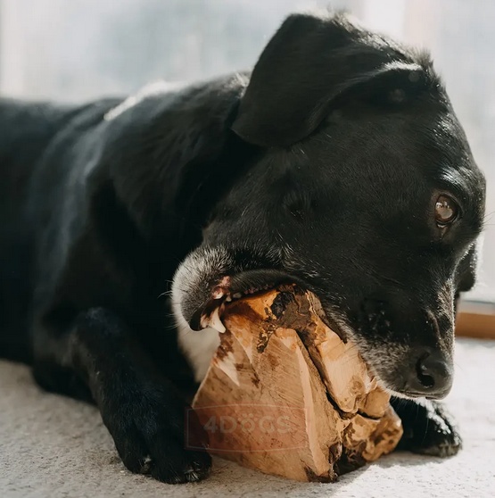 4DOGS Gryzak z korzenia drzewa wrzosowego XL - obrazek 4