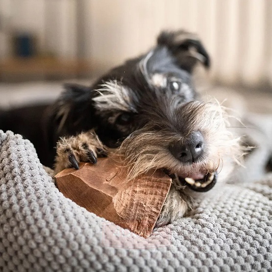 4DOGS Gryzak z korzenia drzewa wrzosowego XL - obrazek 5