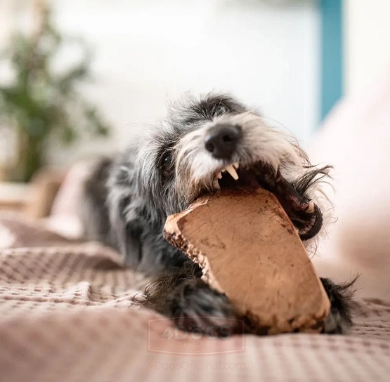 4DOGS Gryzak z korzenia drzewa wrzosowego XL - obrazek 6