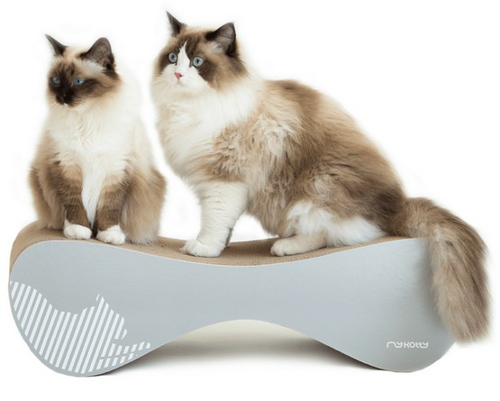 MyKotty Drapak Vigo siwy - obrazek 3