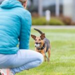 Trixie Piłka gumowa na sznurku 6/30cm [3454] - obrazek 3