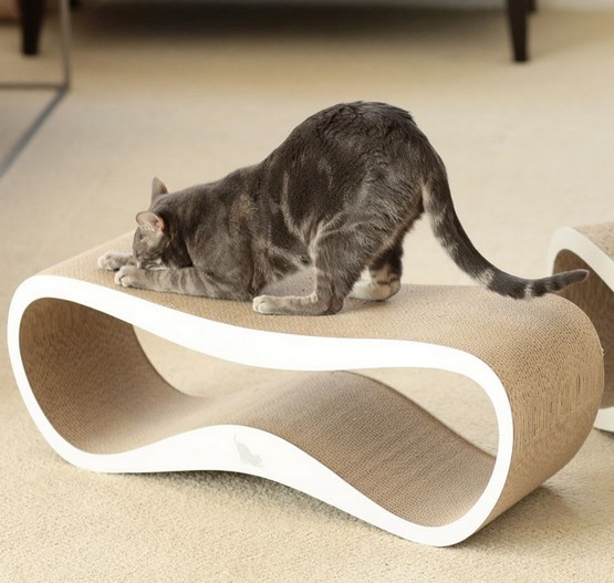 MyKotty Drapak Lui biały - obrazek 5