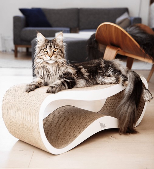 MyKotty Drapak Lui biały - obrazek 8