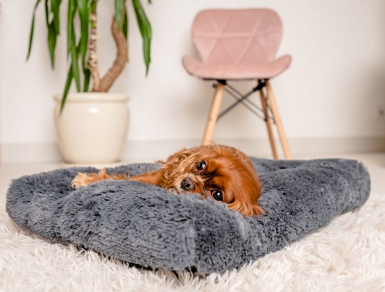 MIMIKO Pets Legowisko Shaggy prostokątne L 65x45cm grafitowe - obrazek 3