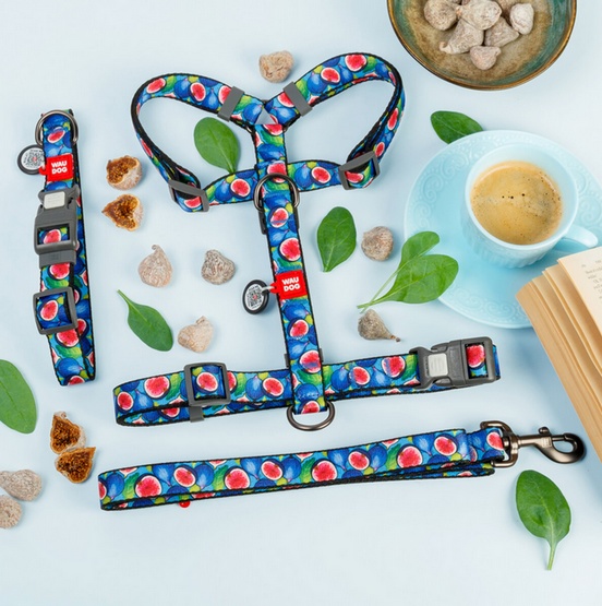 Collar WauDog Nylon Obroża nylonowa z QR-paszportem, plastikowy fastex, wzór FIGA, M 20mm/28-40cm - obrazek 5