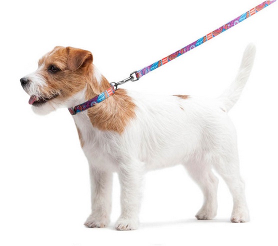 Collar WauDog Nylon Obroża nylonowa z QR-paszportem, plastikowy fastex, wzór LATO, 20mm/28-40cm - obrazek 5