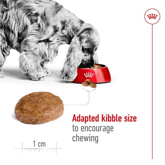 Royal Canin Medium Adult 7+ karma sucha dla psów dorosłych, ras średnich 15kg - obrazek 4