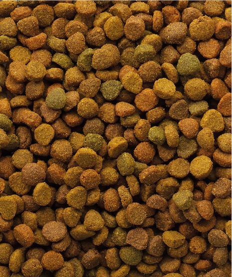 Versele-Laga Oke Cat Classic Variety 10kg - obrazek 2