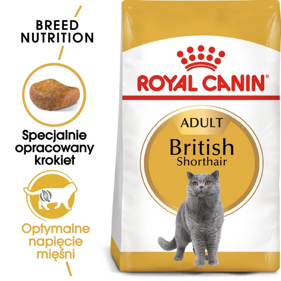 Royal Canin British Shorthair Adult karma sucha dla kotów dorosłych rasy brytyjski krótkowłosy 4kg