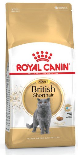 Royal Canin British Shorthair Adult karma sucha dla kotów dorosłych rasy brytyjski krótkowłosy 4kg - obrazek 2