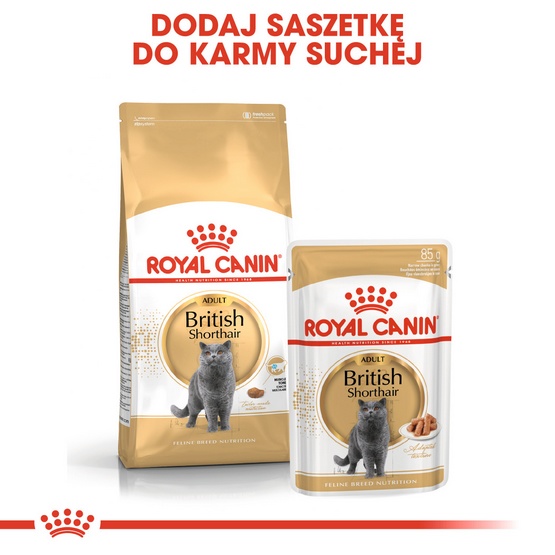 Royal Canin British Shorthair Adult karma sucha dla kotów dorosłych rasy brytyjski krótkowłosy 4kg - obrazek 5
