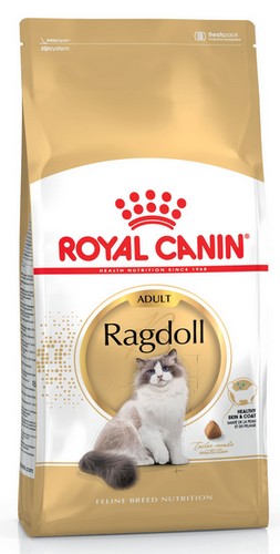 Royal Canin Ragdoll Adult karma sucha dla kotów dorosłych rasy ragdoll 400g - obrazek 2