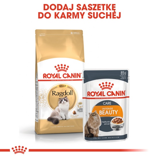 Royal Canin Ragdoll Adult karma sucha dla kotów dorosłych rasy ragdoll 2kg - obrazek 5