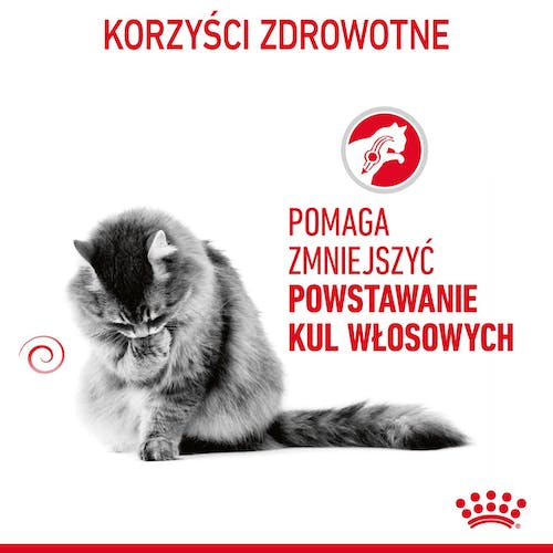 Royal Canin Hairball Care karma sucha dla kotów dorosłych, eliminacja kul włosowych 2kg - obrazek 3