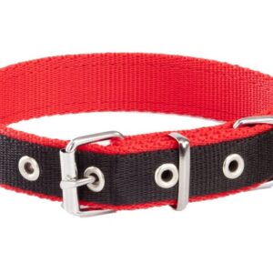 Dingo Obroża taśma polipropylenowa podwójnie zszywana 2,5cm/60cm czarno-czerwona