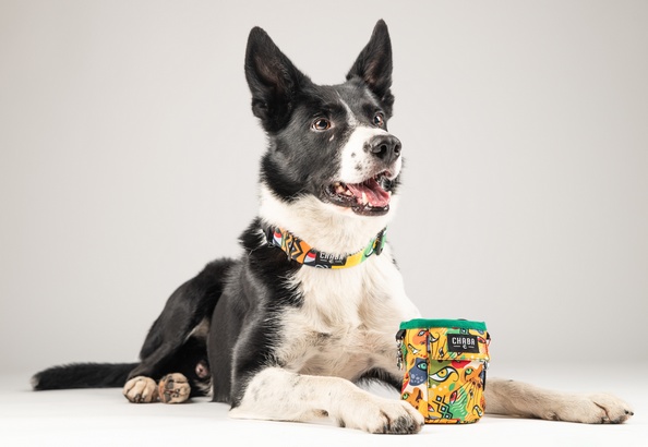 CHABA Saszetka na smakołyki Story III Multi 2w1 Jumbo - obrazek 4